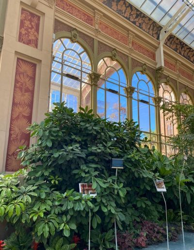 Barcelona's Gothic Quarter - City park green house