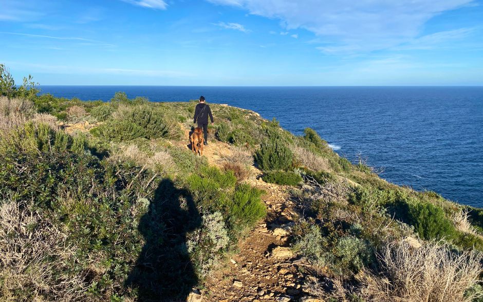 Off-Season in Ibiza - Hiking with dogs