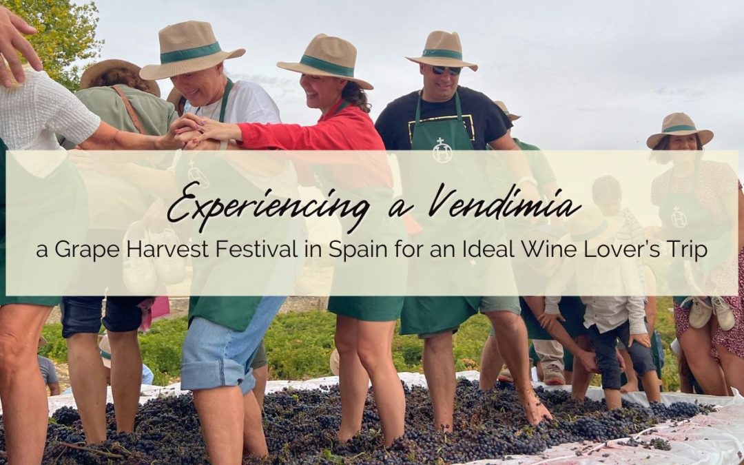 Experiencing a Vendimia, a Grape Harvest Festival in Spain for an Ideal Wine Lover’s Trip