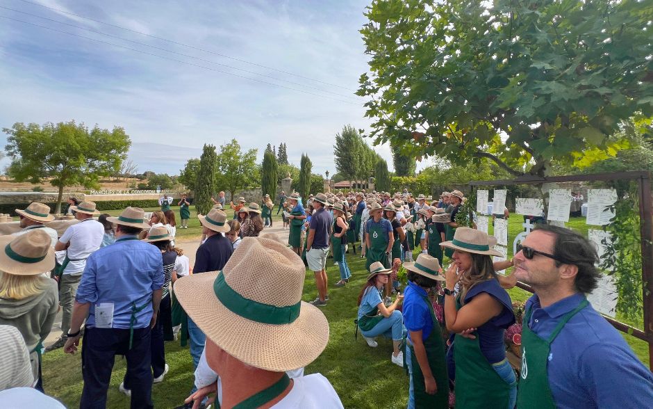 Grape Harvest Festival in Spain - Ready to start