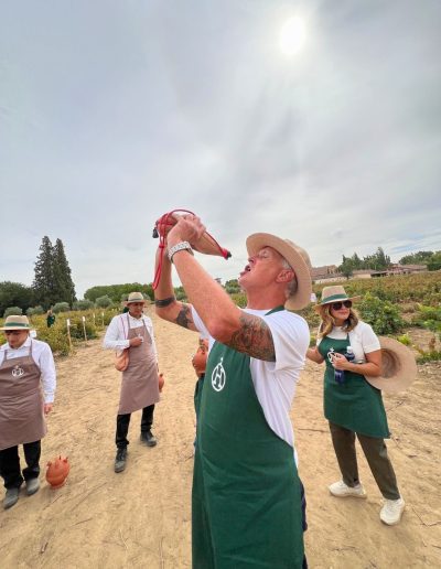grape harvest festival in Spain